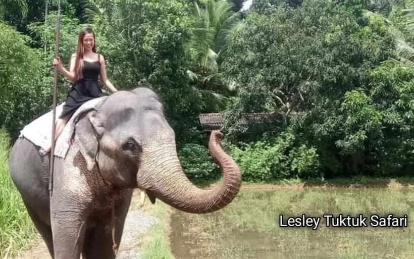 Kandy : Pinnawala Elephant Safari Private Guid Tuk Tuk Tour - Key points to know before booking