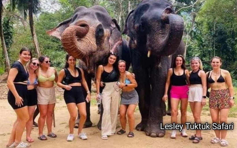 Kandy : Pinnawala Elephant Safari Private Guid Tuk Tuk Tour - Pinnawala puts elephants at the center