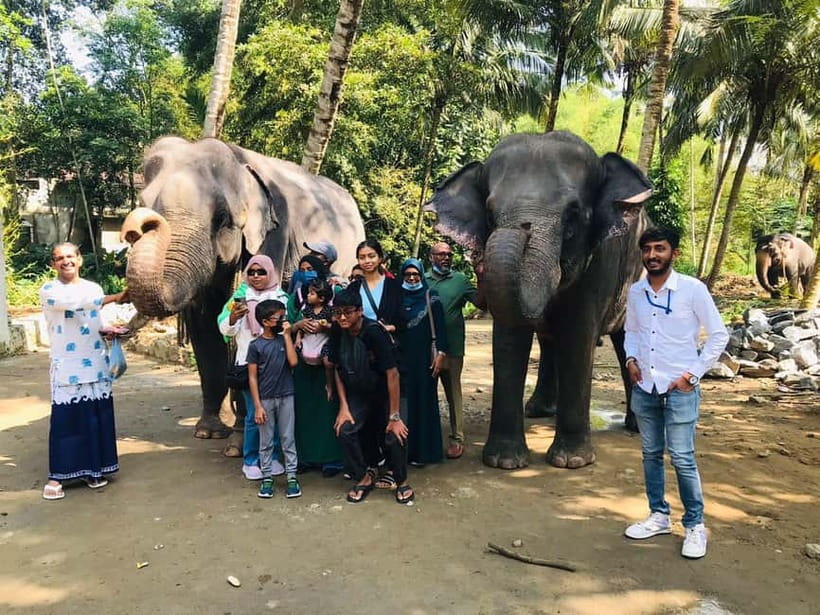 Kandy : Pinnawala Elephant Safari Private Guid Tuk Tuk Tour - Peradeniya’s orchids slow the pace