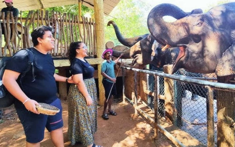 Kandy : Pinnawala Elephant Safari Private Guid Tuk Tuk Tour - Temples show Kandy’s spiritual side