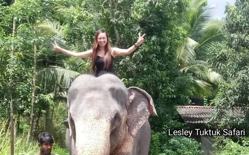 Kandy : Pinnawala Elephant Safari Private Guid Tuk Tuk Tour - The Temple of the Sacred Tooth Relic closes the day