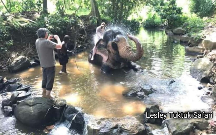 Kandy : Pinnawala Elephant Safari Private Guid Tuk Tuk Tour - Kadugannawa brings history and hill views early