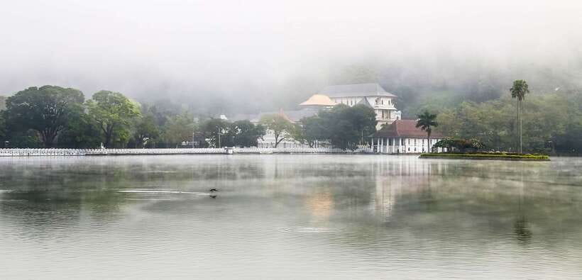 Kandy, Pinnawala Private Day Trip From The West Coast Beach - Lunch is extra, and the choice matters