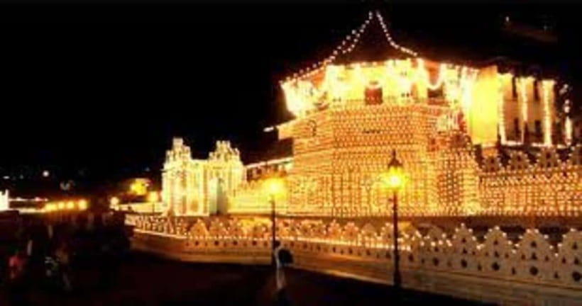 Kandy, Pinnawala & Tea Factory Full Day Tour From Colombo - Timing, comfort, and practical limits