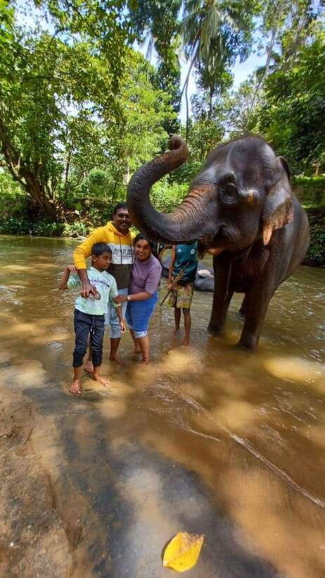 Kandy, Pinnawala & Tea Factory Full Day Tour From Colombo - Royal Botanic Garden, Kandy