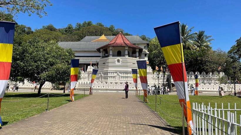 Kandy & Pinnawala & Tea Factory Full Day Tour From Negombo - Key Points Before You Book