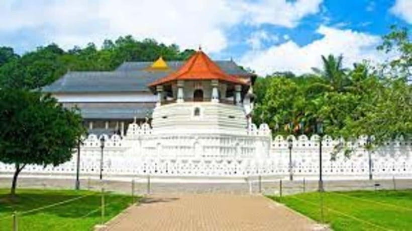 Kandy & Pinnawala & Tea Factory Full Day Tour From Negombo - Pinnawala and the Millennium Elephant Foundation