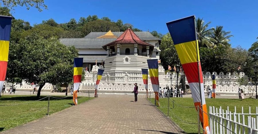 Kandy & Pinnawala & Tea Factory Full Day Tour From Negombo - Royal Botanic Gardens, Kandy
