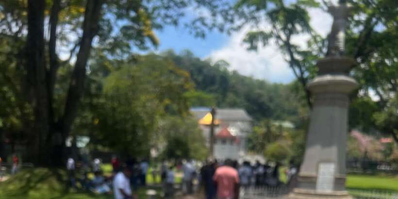 Kandy: Private City Highlights Guided Tour by Tuk-Tuk - Timing, comfort, and practical preparation