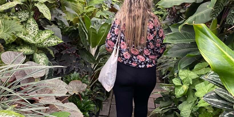 Kandy: Private City Highlights Guided Tour by Tuk-Tuk - Royal Botanic Gardens: allow the full 90 minutes