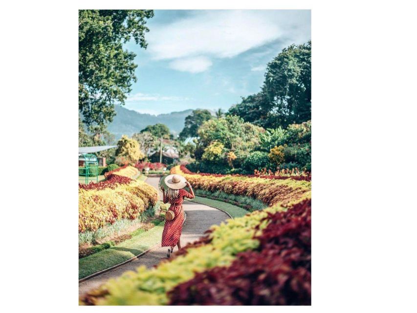 Kandy Private Guided City Day Tour by Local Tuk Tuk - Gadaladeniya Temple And The Craft Workshops
