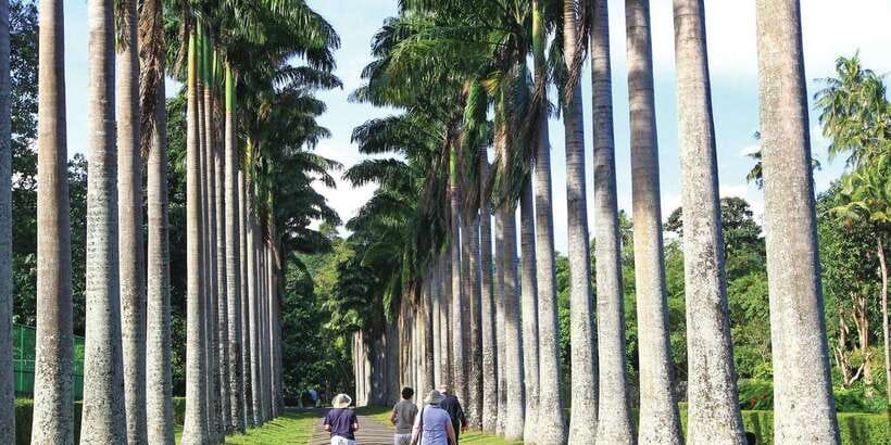 Kandy: Private Guided City Tours by Tuk Tuk Sightseeing Tour - Wood crafting and the question of shopping stops