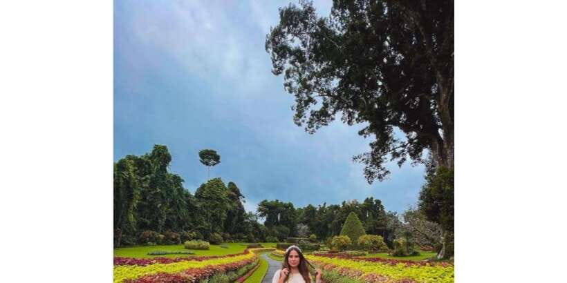 Kandy: Private Guided City Tours by Tuk Tuk Sightseeing Tour - Royal Botanical Garden in Peradeniya