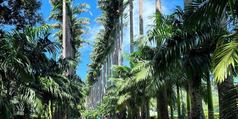 Kandy privet day tour with pinnawala and Tea plantation - What the $47 price really covers