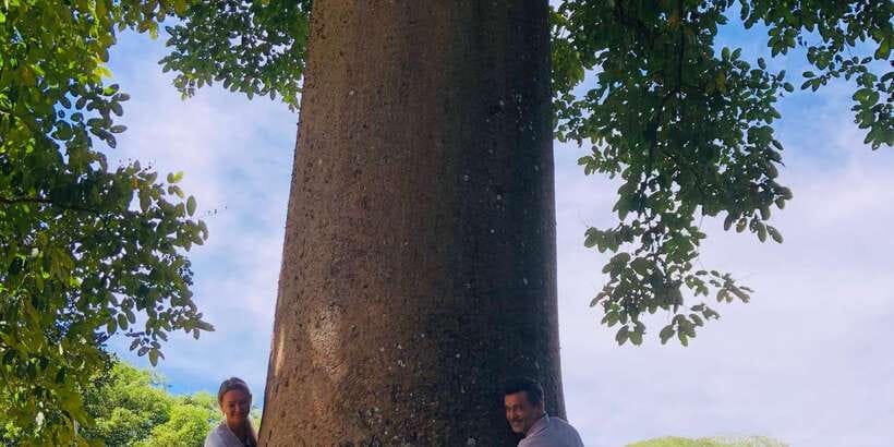 Kandy privet day tour with pinnawala and Tea plantation - Why this route works for a first Kandy visit