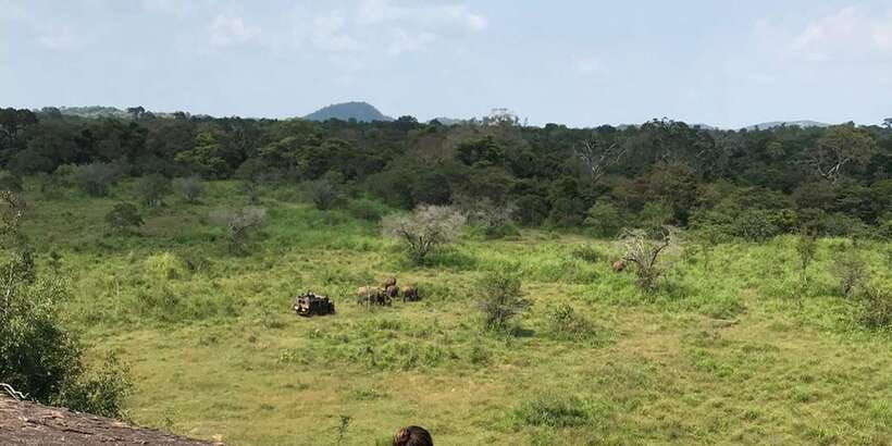 Kandy: Sigiriya, Dambulla & Wildlife Safari Private Tour - Dambulla Cave Temple and its five sacred chambers