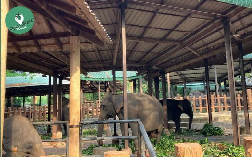 Kandy to Ambuluwawa Tower, Pinnawala, Full Day Tour - Kandyan Dancing at Red Cross Society Hall