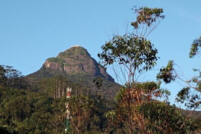 Kandy to Nallathanniya (Climb Adams Peak)