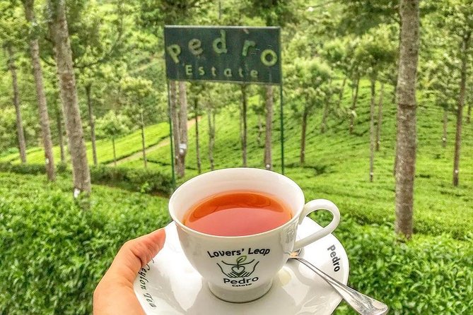 Kandy to Nuwara Eliya Day Tour - Key points to know before booking