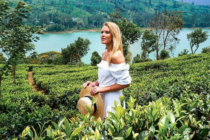 Kandy to Nuwara Eliya Day Tour - Who should book this day tour?