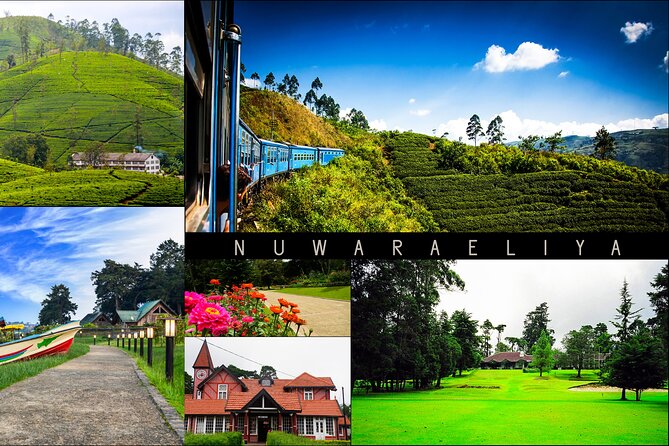 Kandy to Nuwara Eliya Day Trip – Little England & Tea Country - Key things to know before you book