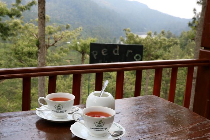 Kandy to Nuwara Eliya Day Trip – Little England & Tea Country - Bluefield Tea Gardens and the factory visit