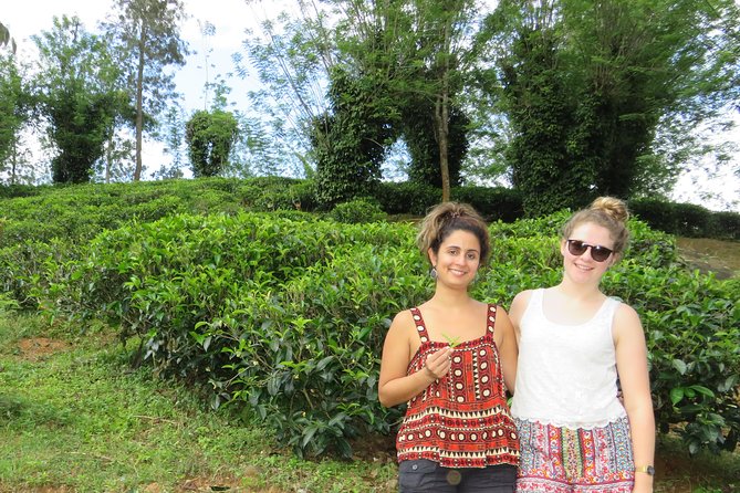 Kandy to Nuwara Eliya Day Trip – Little England & Tea Country - Gregory Lake and Nuwara Eliya’s cool-town character