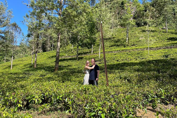 Kandy to Nuwara Eliya Day Trip – Little England & Tea Country - Victoria Park and the old racecourse
