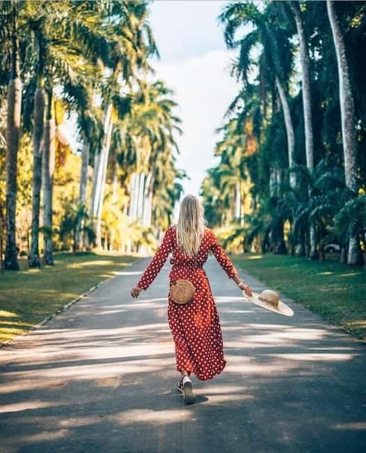 Kandy to Pinnawala Guided Day Tours by Local - Key points to know before booking