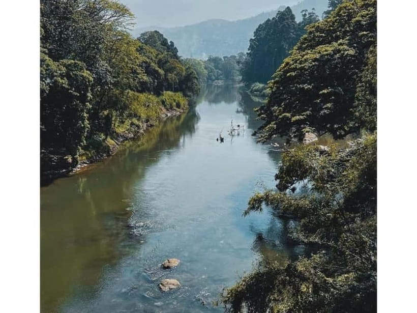Kandy to Pinnawala Guided Day Tours by Local - Peradeniya’s gardens offer the day’s calmest hour