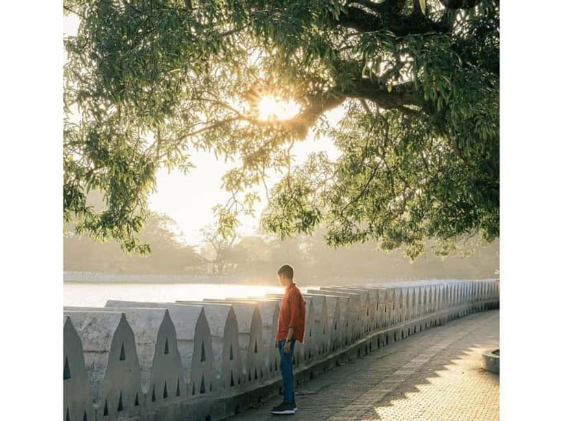 Kandy to Pinnawala Guided Day Tours by Local - Kandy View Point is quick but worth timing