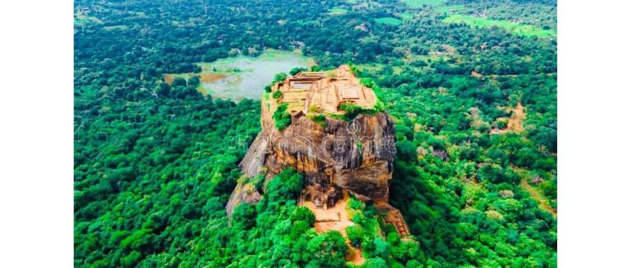 Kandy to Sigiriya Guided Day Tours by Local - Wildlife options and the real price of a safari day