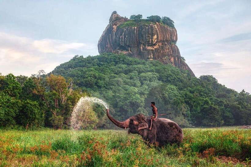 Kandy to Sigiriya Private Tour by Tuk Tuk with All Fees - A spice garden stop with a practical cooking angle