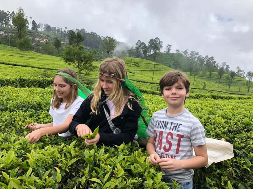 Kandy: Traditional Village Tour with Authentic Experience - Five details that make this Heeloya trip different