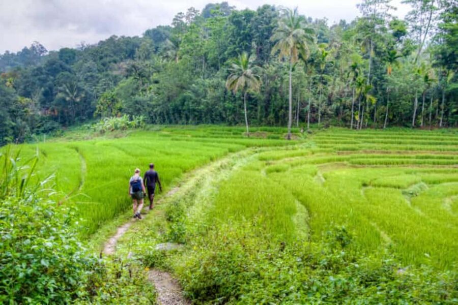 Kandy: Traditional Village Tour with Authentic Experience - Heeloya’s old court and everyday village life