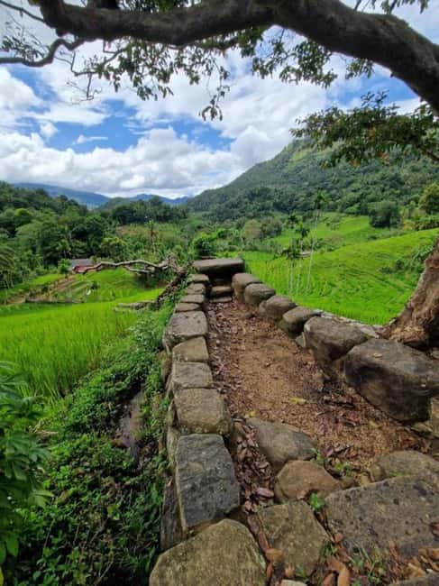 Kandy: Traditional Village Tour with Authentic Experience - Cardamom, cinnamon, pepper, and home gardens