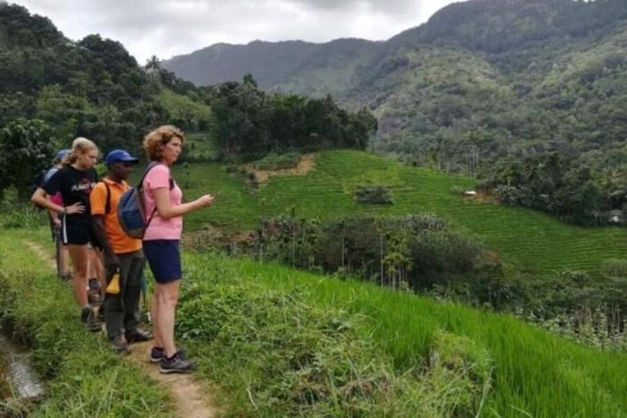 Kandy: Traditional Village Tour with Authentic Experience - The waterfall swim and the pace of the day