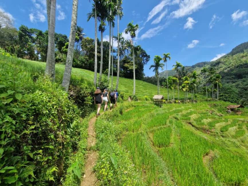 Kandy: Traditional Village Tour with Authentic Experience - Two hours through paddy fields and village paths