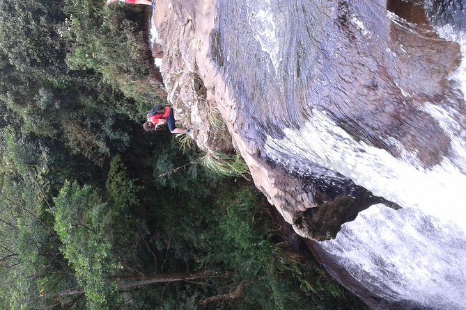 kandy waterfalls day tour - Booking, cancellations, and practical planning