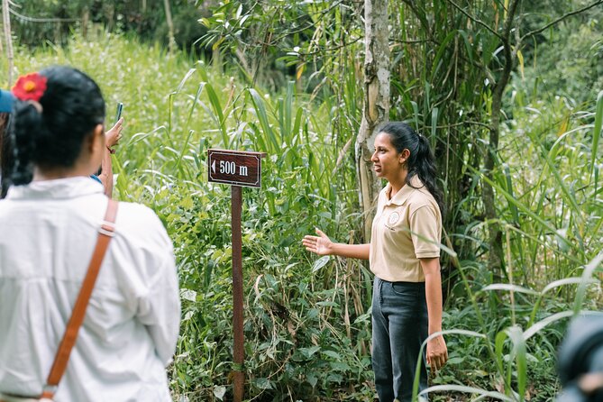 Kandy Yahalatenna Walking Coffee Class Activity - Starting at Tree of Life Nature Resort in Yahalatenna