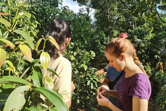 Kandy Yahalatenna Walking Coffee Class Activity - Inside the coffee processing and roasting center