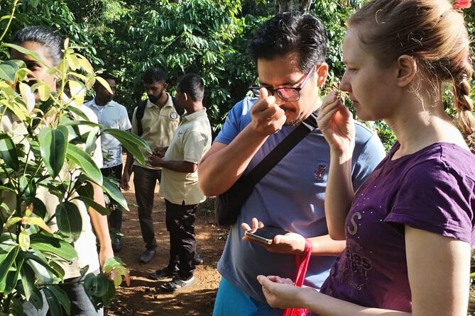 Kandy Yahalatenna Walking Coffee Class Activity - Freshly brewed coffee at the finish