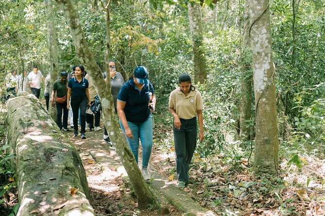 Kandy Yahalatenna Walking Coffee Class Activity - Is $32 a fair price?