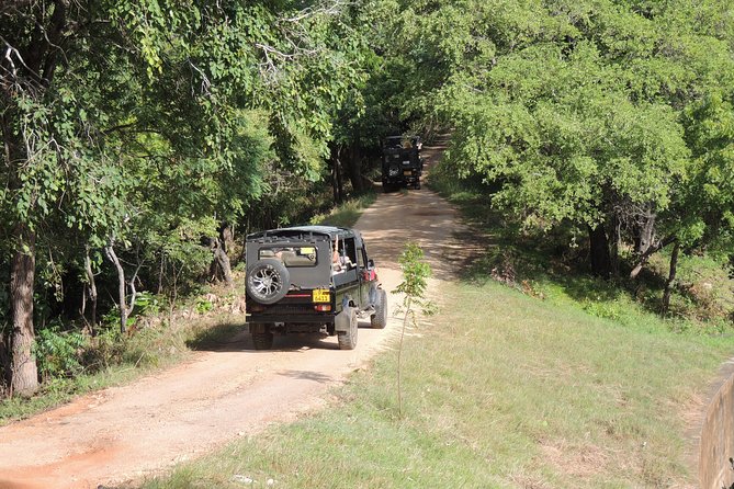 Kaudulla National Park Entrance Ticket with Private Safari - Riding through evergreen forest