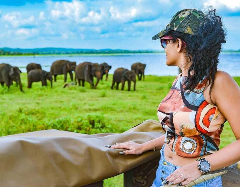 Kaudulla National Park Half-Day Safari with Expert - A three to four-hour safari with room for photos