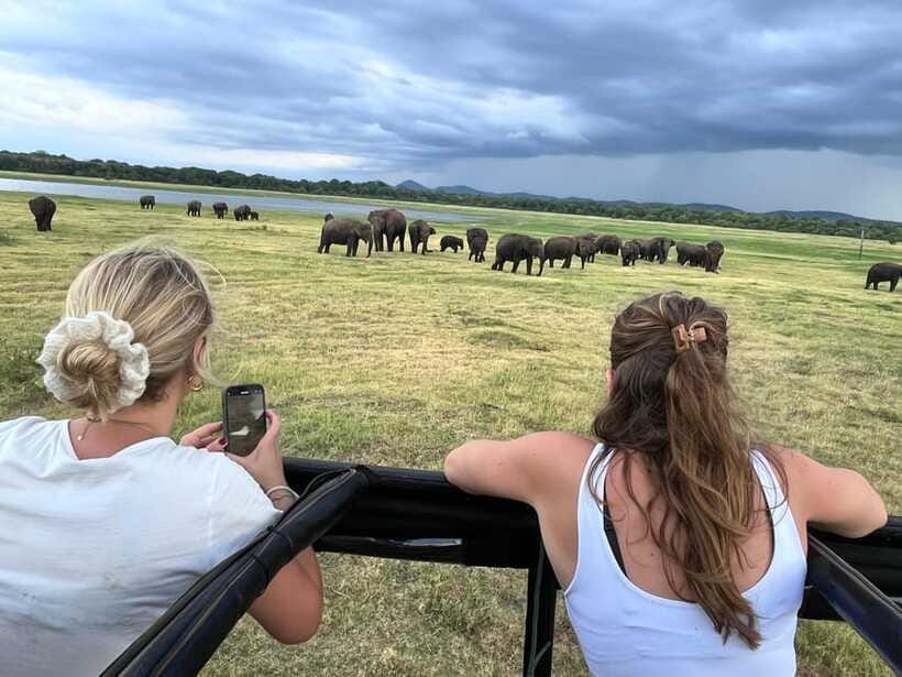 Kaudulla National Park: Private Safari - What the $23 price really covers