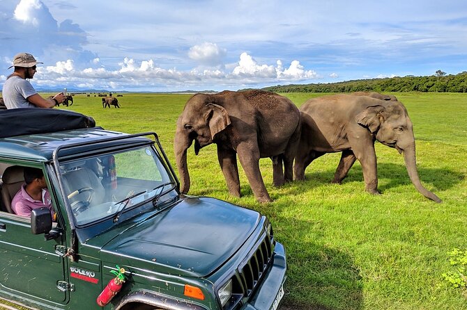 Kaudulla National Park Safari | Jeep with Tickets - A private jeep makes the difference