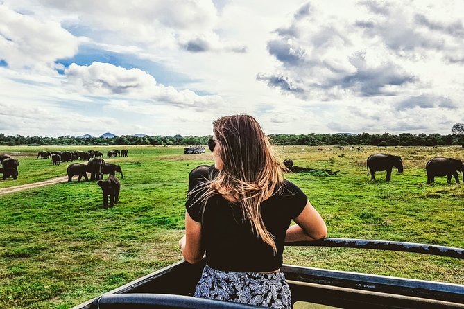 Kaudulla National Park Shared Safari - Why Kaudulla is worth your time