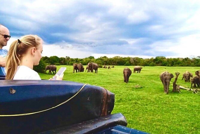 Kaudulla Safari Adventure - Kaudulla Safari Adventure at a Glance