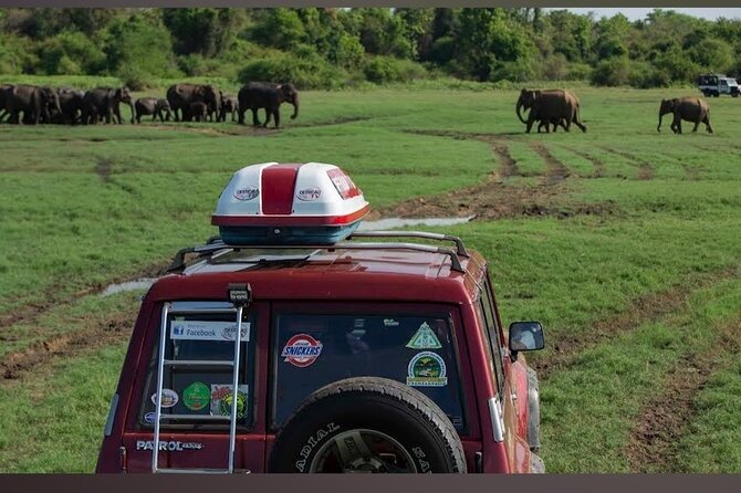 Kaudulla Safari Adventure - The Ticket Office Problem You Should Plan Around